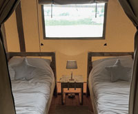 Safari Tent Glamping Bedroom Norwich