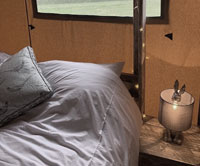 Safari Tent Glamping Bedroom Norwich