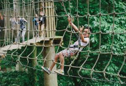 Go Ape Thetford