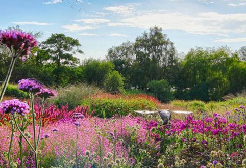 Pensthorpe Natural Park Norfolk